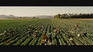 تریلر رسمی فیلم McFarland, USA 2015