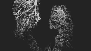 Spurv - Mellom broen og elven