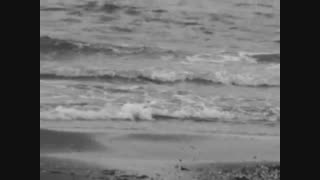 دکلمه مسافر ری را : شاعر سید علی صالحی با صدای رضا پیر بادیان