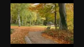 (تقدیم به عاشقان پاییز) سرود جاودانه پاییز -  PAEIZAN