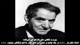 روز شعر و ادب پارسی و روز بزرگداشت استاد شهریار