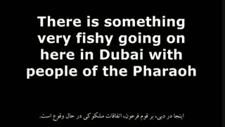 مستند ظهور ( قسمت هفتم )