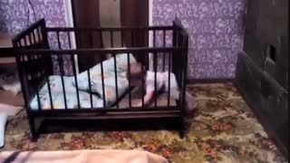 عجب آتیش پاره ی هستش