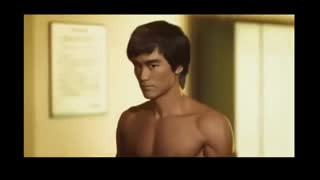 مبارزه آزاد 3 - دانی ین در مقابل بروس لی (انیمیشن)