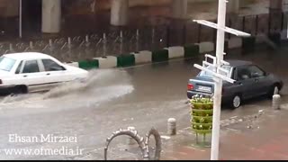 باز باران با ترانه با تلفات فراوان