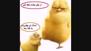 واکنش بعضی از دانشجو ها