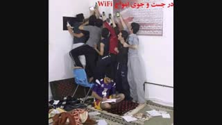 حقیقت جالب