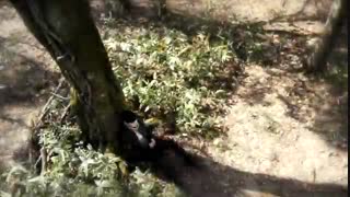 I Can't Stop Loving You (میکس سریال خون)