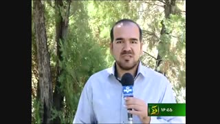 عملکرد ضعیف شهرداری در جمع آوری خودروهای میوه فروش تا عدم پاسخگویی شهردار