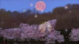 میکس آهنگ زیبای For One Night In Heaven از Fancy