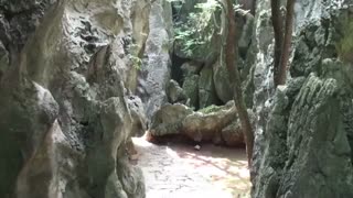 جنگلی از سنگ  واقع در چین