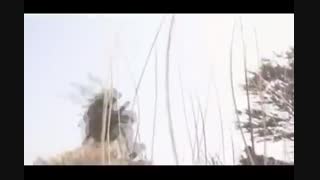 از خونی که ریخته شد سوال کن !!