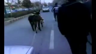 اعتراض به ایران خودرو