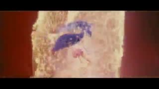 Winx Club Enchantix Transformation 3D