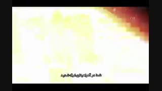 چنگ زدن به لانه ی یهود