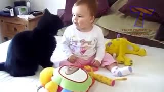 بازی کردن گربه ها و بچه ها