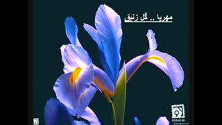 گل ماه تولدتون چیه؟