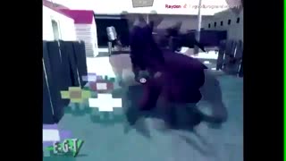 خوک و خوک خور ! garry's mod