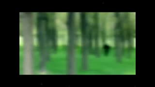 اجرای قطعه ی عاشق شدم