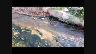 فاضلاب مسجدسلیمان