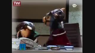 وقتی جیگر پولدار می شود و ببعی منشی!