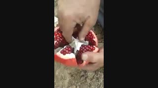 انار...میوه بهشتی...