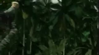 بازی Dino Crisis 2 ps1