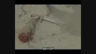 حضرت ابولفضل