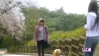 سریال خط عشق لی مین هو (میکس قشنگیه نبینی از  دستت رفته)