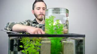 یک مخزن معلق روی آکواریوم ( ساخت آکواریوم بسیار متفاوت )