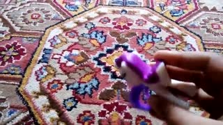 عروس های پونی جدید من 1