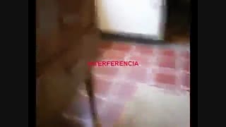 کلیپ جن کوتوله با 11 میلیون بیننده!