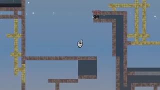 Nealson TNP:Skychase