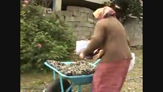 قدر داشته هایمان را بدانیم  ( میترا )