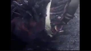 ویدیویی از جین کازاما