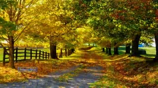 پاییز و ویلن زیبا و دلنشین سرگئی تروفانوو