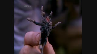 زنده باد مامان با دوبله فارسی – - کامبوج