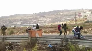 گرگ هایی در لباس میش!