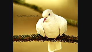 موزیک ویدیوی (مادرانه)از بنیامین بهادری