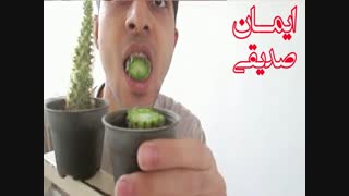 خوردن کاکتوس توسط یک ایرانی!