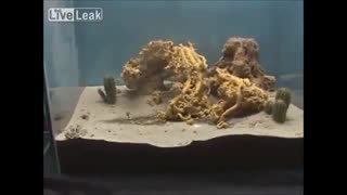 Chemistry is awesome compilation