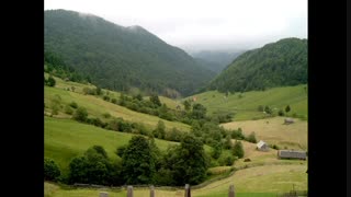 ♫روح سبــــــــز♫