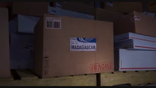 پنگوئن های ماداگاسکار۲۰۱۴(پارت۴)