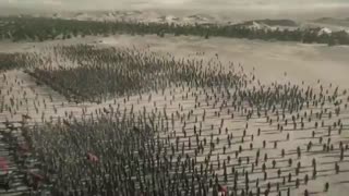 چه سخت است آتش بودن