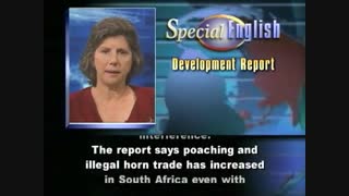 Increase in Illegal Killing of Rhinos in Africa, Asia