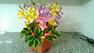 گلدان بخار سرد