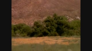 نسخه ی کامل موزیک ویدیوی black or white مایکل جکسون.... موزیک ویدیویی  که راز قتل مایکل در آن نهفته است....