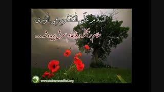 فرازهایی از زیارت ناحیه مقدسه امام زمان (عج)