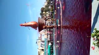 فلکه ی مرکزی شهرضا(میدان تاسوعا)در صبح عاشورا حتما بببینید