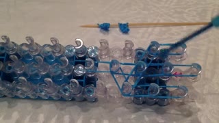 آموزش دلفین فانی بافت